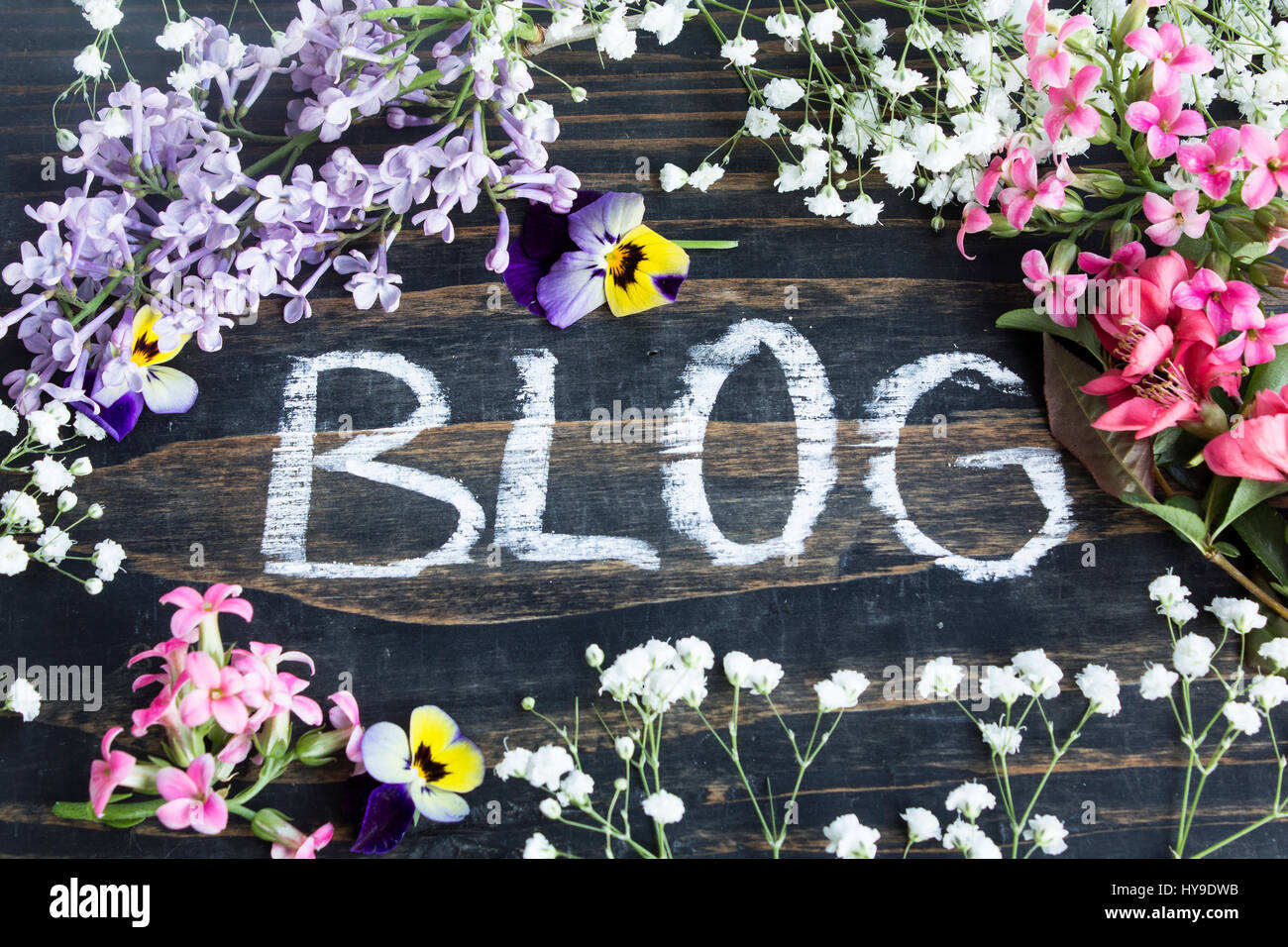 Blog di parola con diversi fiori di primavera su un rustico sfondo di legno. Foto Stock