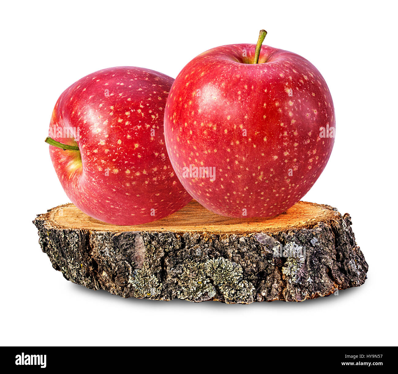 Le mele su una tavola di legno сross Sezione di tronco di albero isolato su sfondo bianco Foto Stock