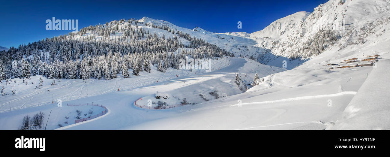 Alberi coperti di neve fresca in Austria Alpi - Zillertal Arena, Austria. Foto Stock