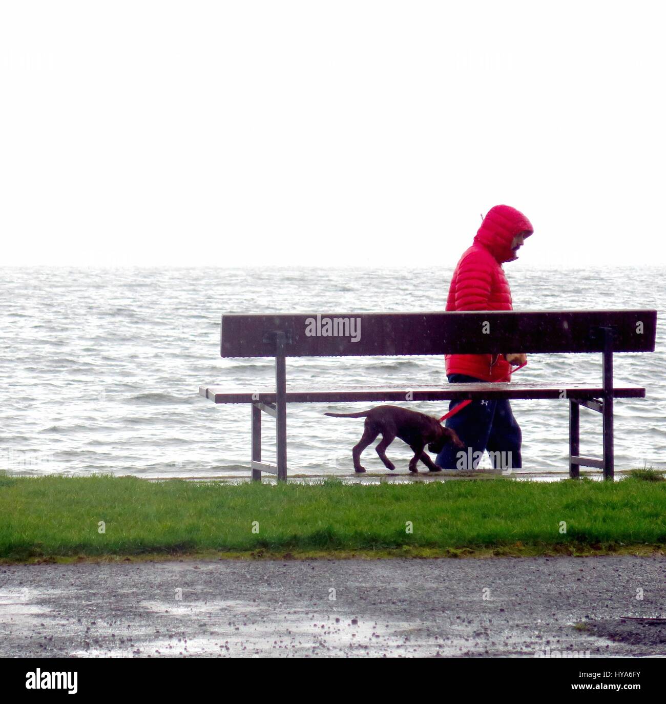 Helensburgh, Scozia. 3 apr, 2017. Gusty venti e piogge fanno per un misero giorno. Alan Oliver/Alamy Live News Foto Stock