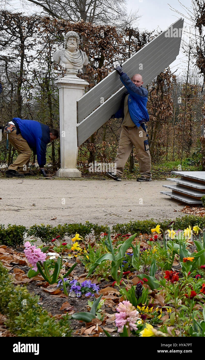 Potsdam, Germania. 3 apr, 2017. Falegnami presso il cantiere di cablaggio in Potsdam iniziare la scopertura delle statue sui sentieri principali della reggia di Sanssouci motivi a Potsdam, in Germania, 3 aprile 2017. Le sculture sono protetti dagli elementi con casse di legno durante i mesi invernali. Foto: Bernd Settnik/dpa-Zentralbild/dpa/Alamy Live News Foto Stock