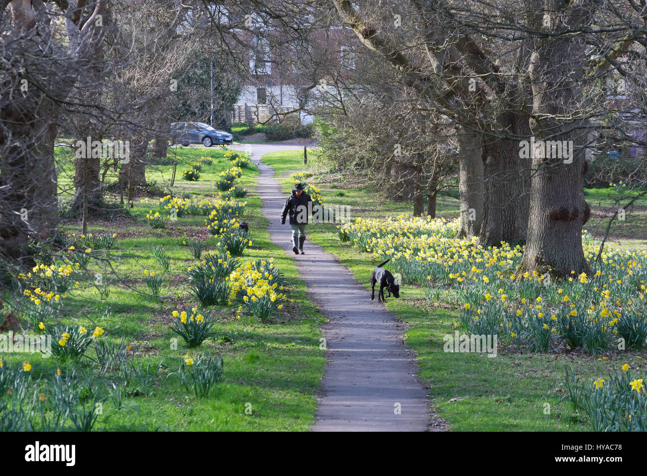 Il pittoresco villaggio di Hartley Witney nel distretto di Hart, Regno Unito Foto Stock