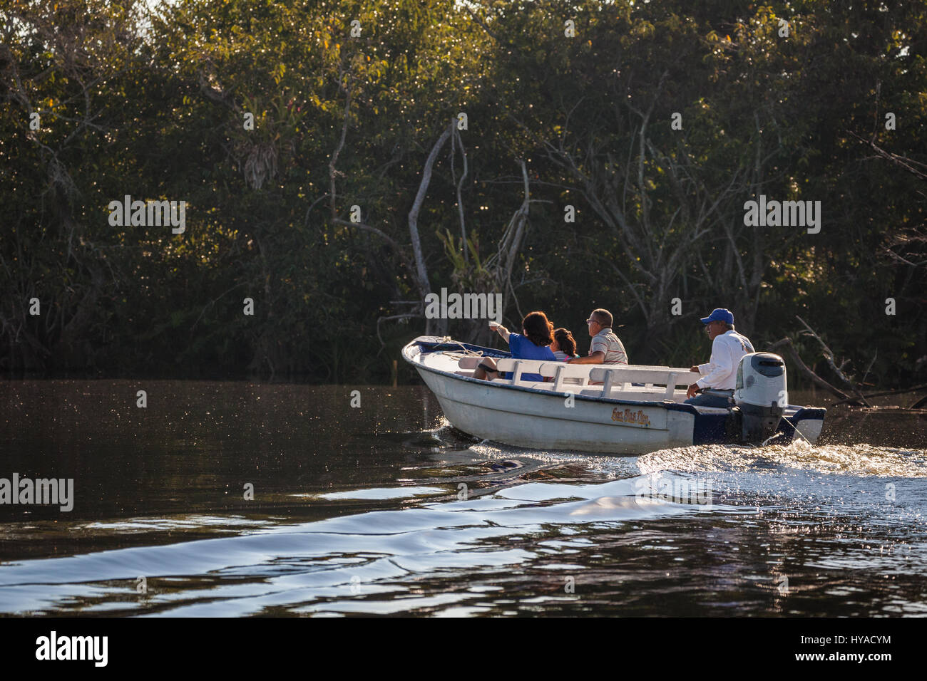 Un tour in barca siti alcuni selvatici nel Tovara Riserva Naturale di San Blas, Messico. Foto Stock