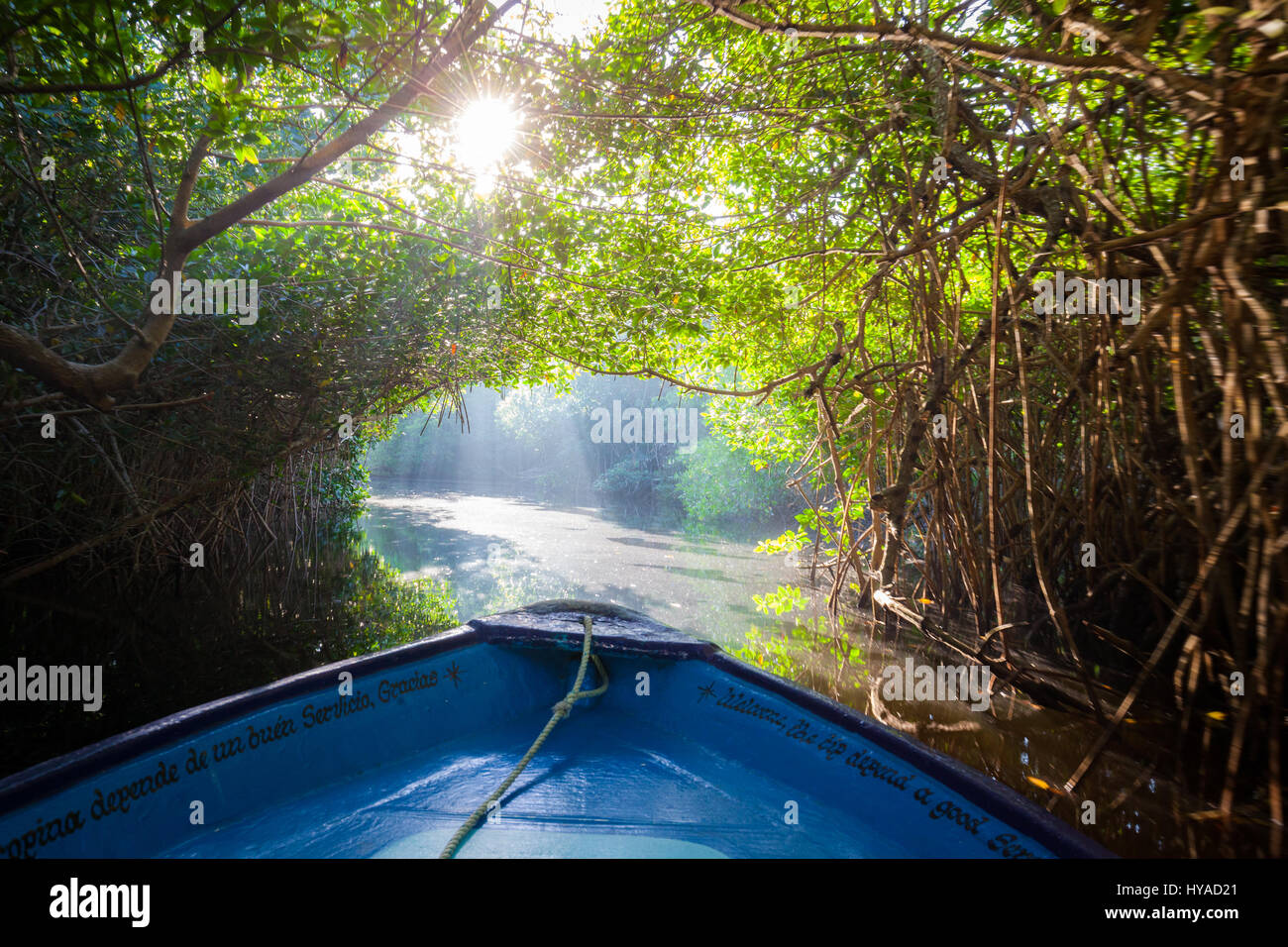 Un tunnel di mangrovie attende una barca in Tovara Riserva Naturale di San Blas, Messico. Foto Stock