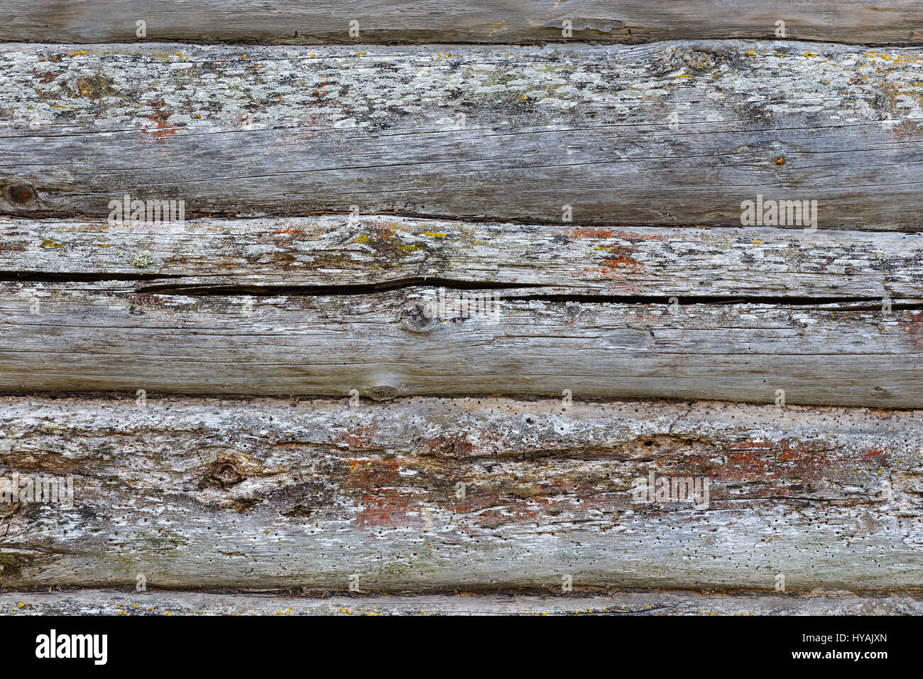 Sfondo di legno da vecchi log coperte di muschio e dello stampo Foto Stock