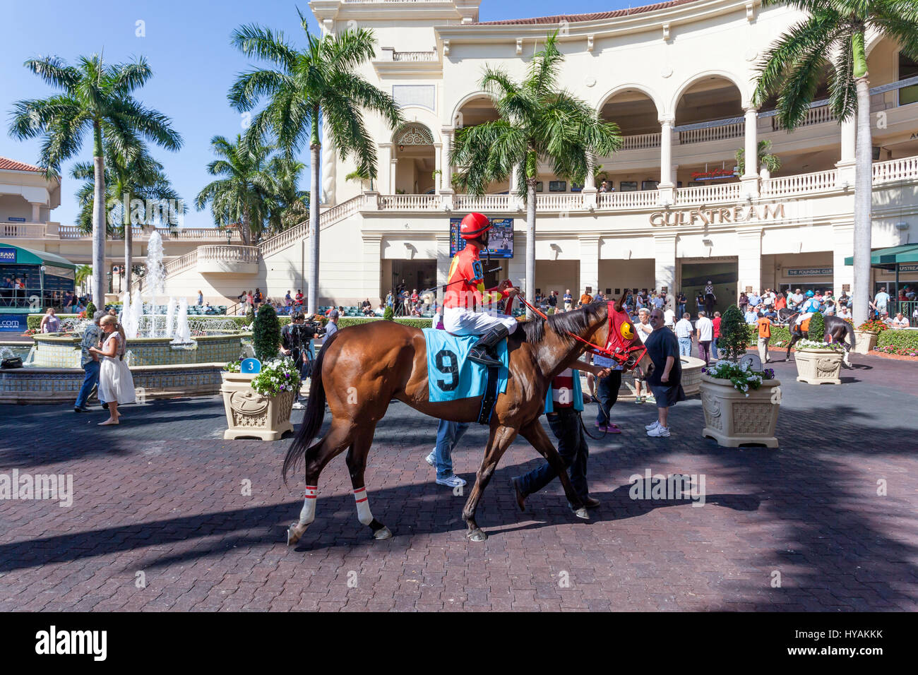 HALLANDALE Beach, Stati Uniti d'America - Mar 11, 2017: Racing cavalli spettacolo presso il Gulfstream Park Race Track in Hallandale Beach, Florida, Stati Uniti Foto Stock