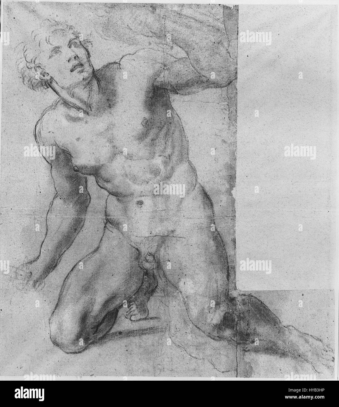 Annibale Carracci, studio per Phineas La Galleria Farnese Foto Stock