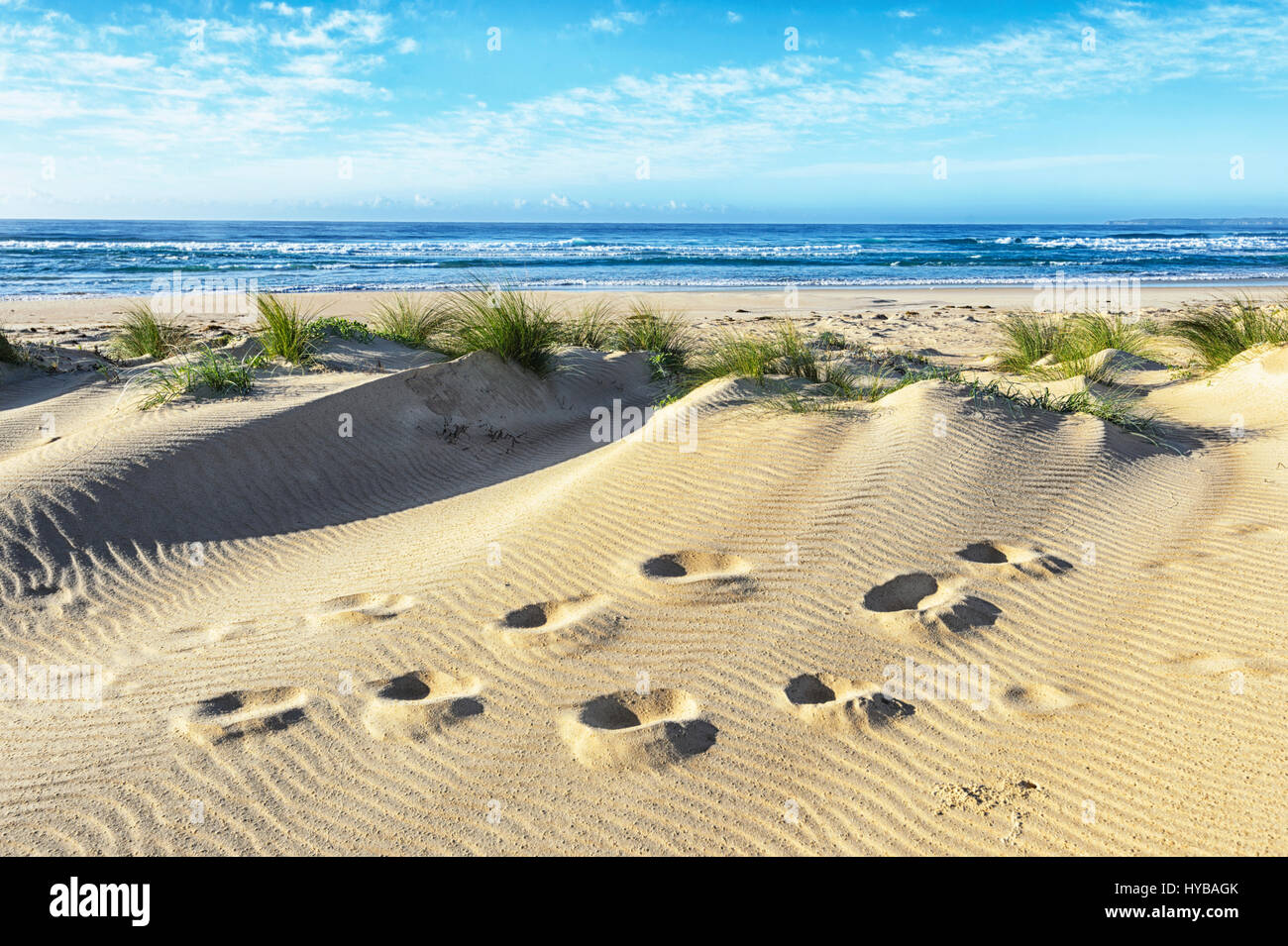Una vista pittoresca del footprint e modelli di sabbia nelle dune di sabbia in spiaggia Conjola, Shoalhaven, South Coast, Nuovo Galles del Sud, NSW, Australia Foto Stock
