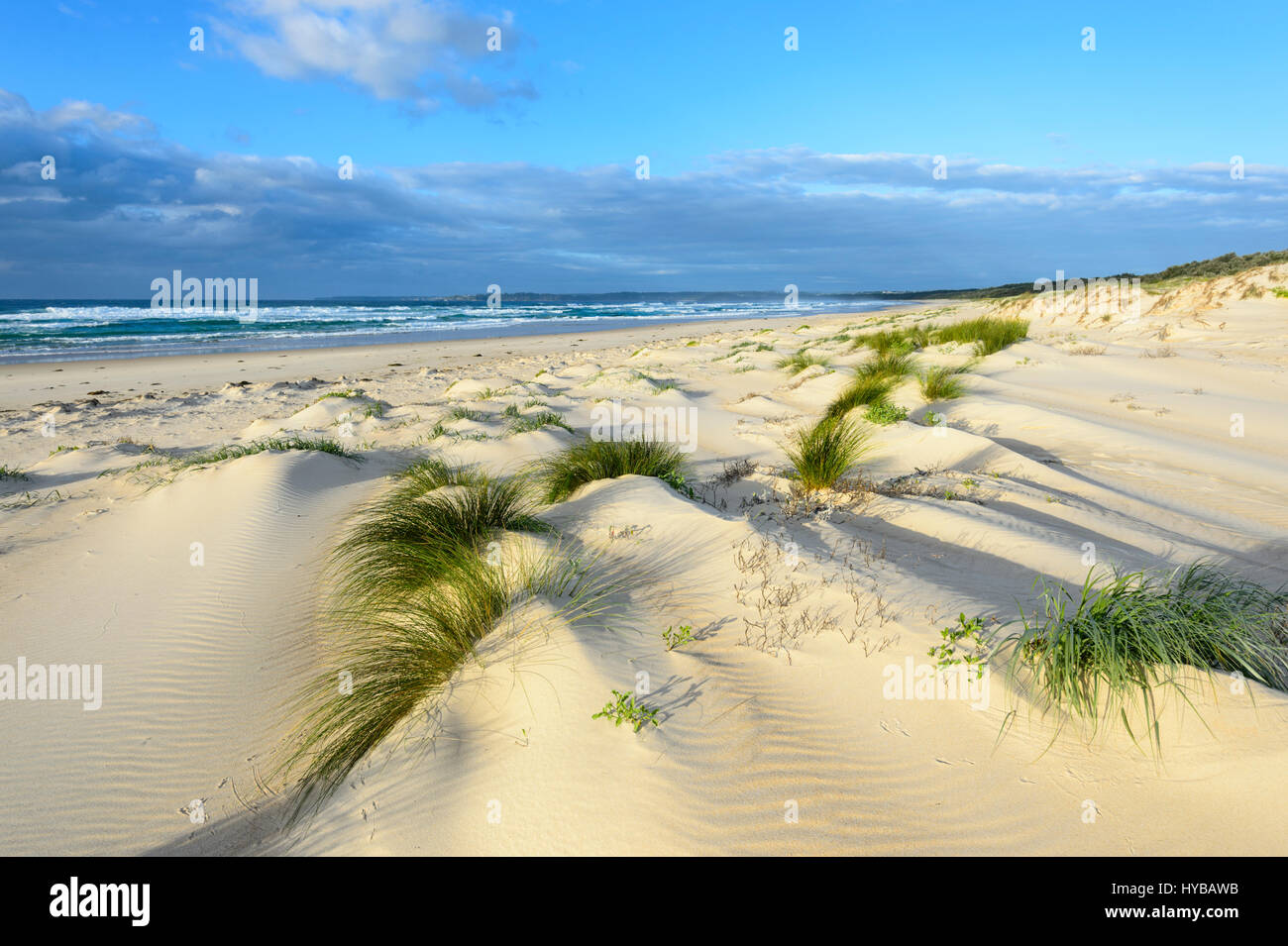 Pittoresche dune di sabbia e ciuffi di erba a Conjola Beach, Shoalhaven, South Coast, Nuovo Galles del Sud, NSW, Australia Foto Stock