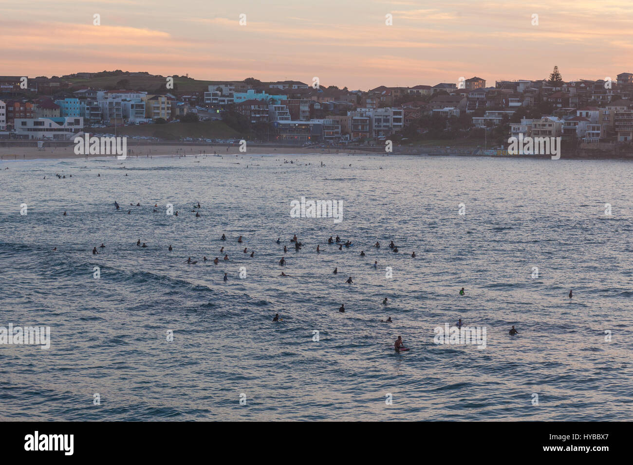 Mattina surfisti sulla famosa spiaggia Bondi di Sydney, Australia. Foto Stock
