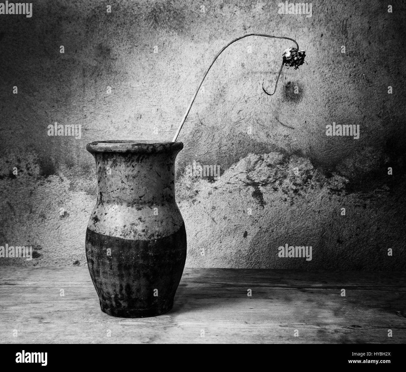 Bianco e nero still-life con un vecchio brocca e impianto a secco su un tavolo di legno Foto Stock