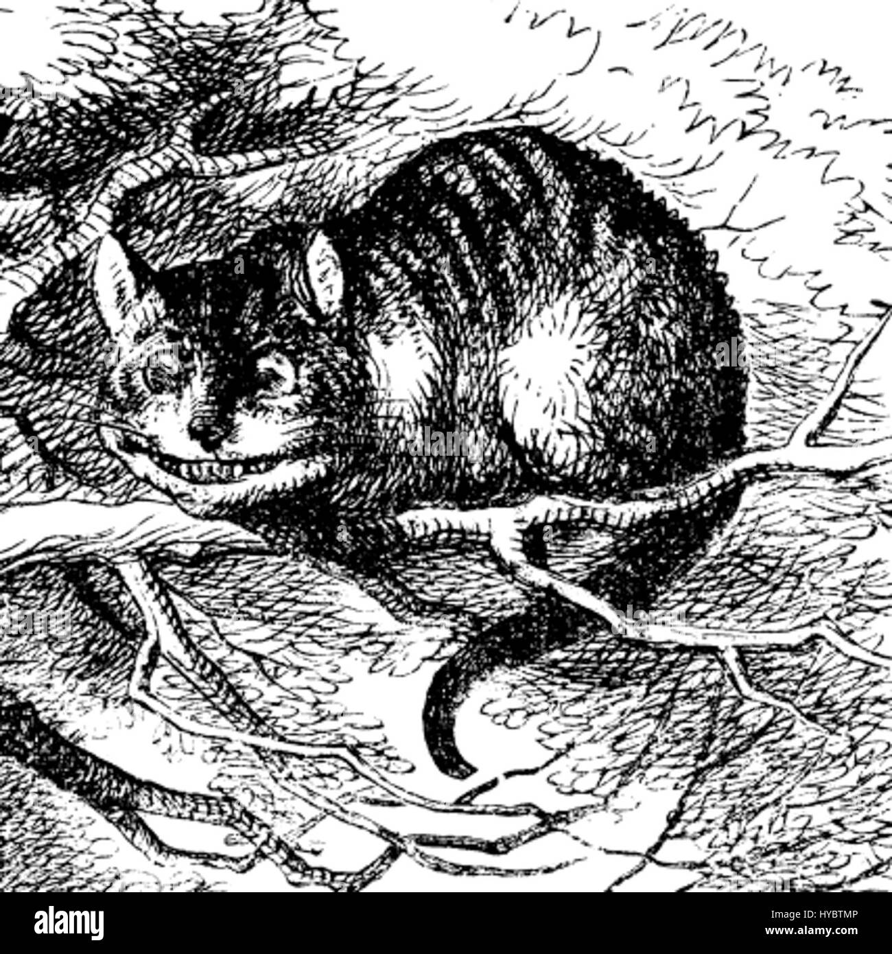 The Cheshire Cat, illustrato da John Tenniel per "Alice's Adventures in Wonderland" di Lewis Carroll, è un personaggio famoso noto per il suo sorriso malizioso e la sua capacità di scomparire e riapparire. Foto Stock