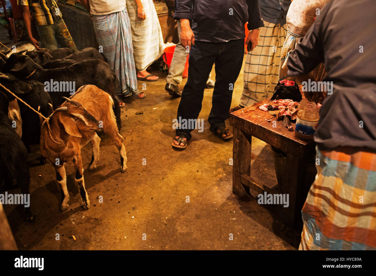 Goat market place, Dacca in Bangladesh Foto Stock