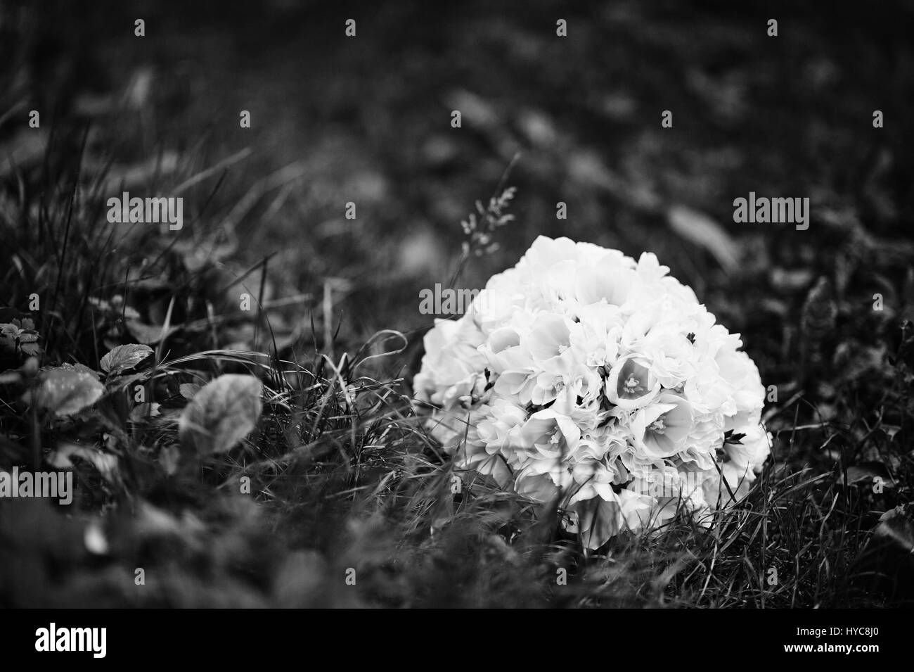 Bianco bouquet di nozze su legno vicino ad albero. Foto Stock
