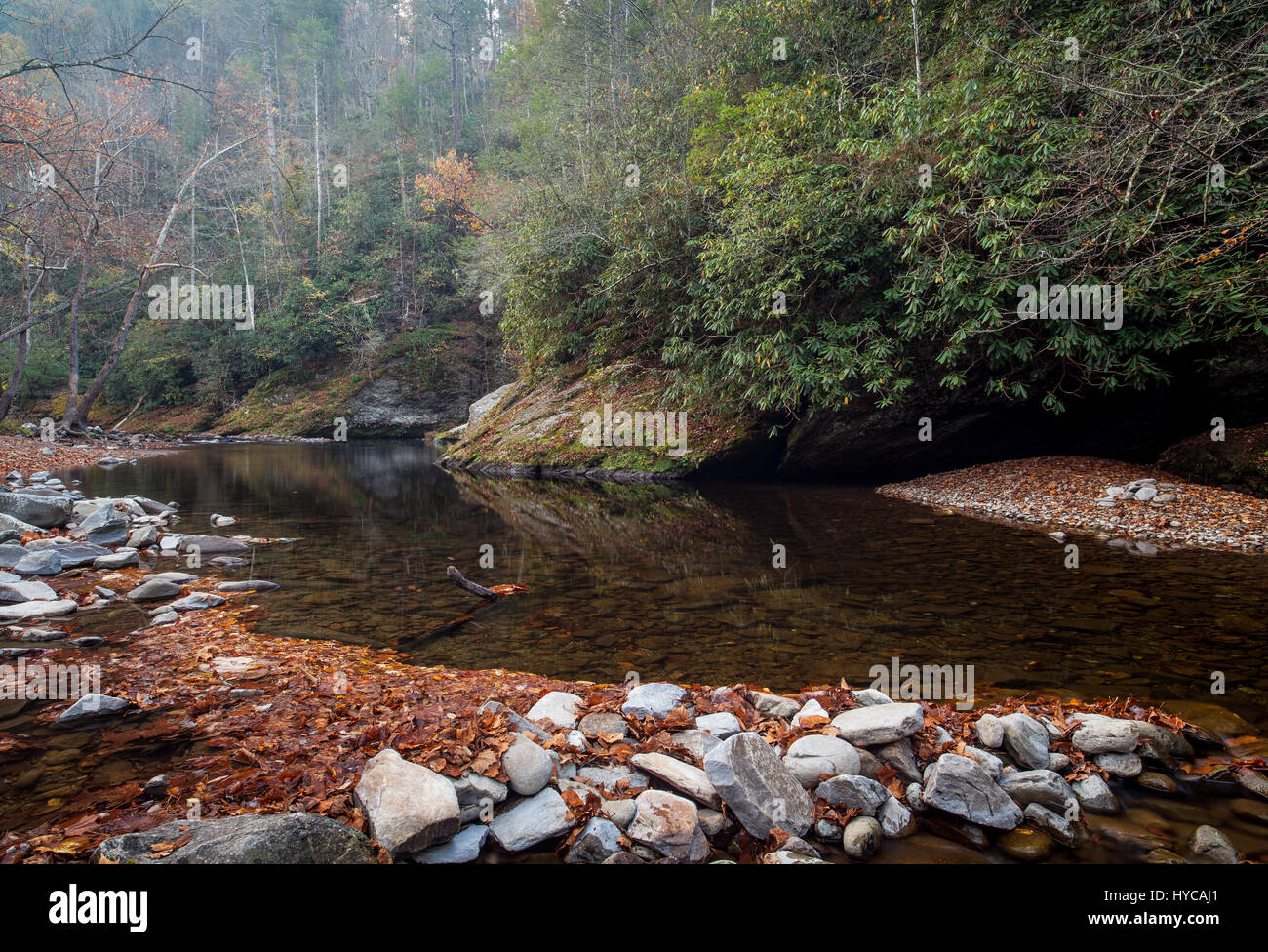 Questa immagine è stata presa lungo il piccolo fiume gorge road nella Great Smoky Mountain National Park. il piccolo fiume è di circa 60 miglia lungo e molto panoramico. Essa inizia entro il Great Smoky National Park e alla fine si svuota nel fiume Tennessee a fort loudon lago. Foto Stock