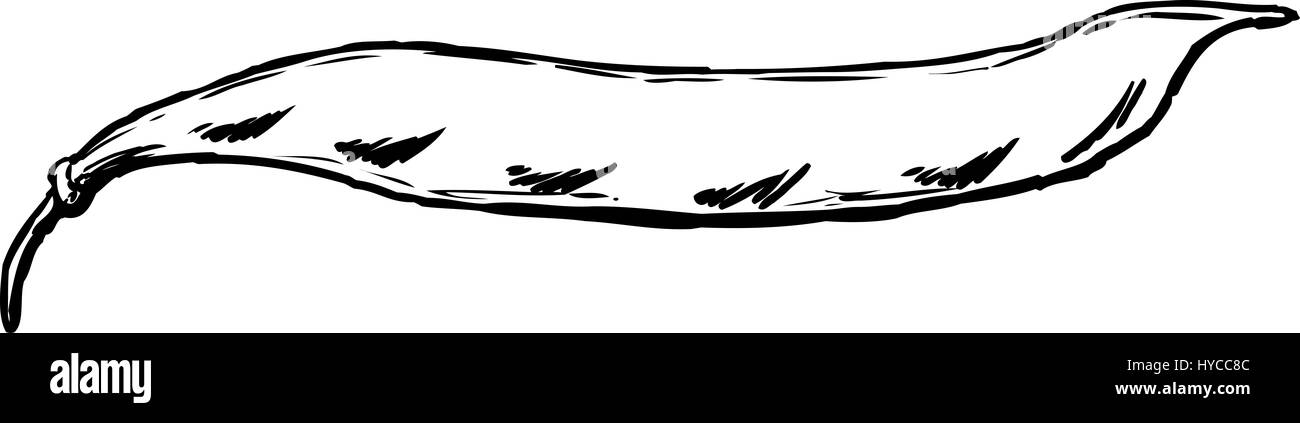 Delineate i fagioli freschi in pod cartoon su sfondo bianco Foto Stock