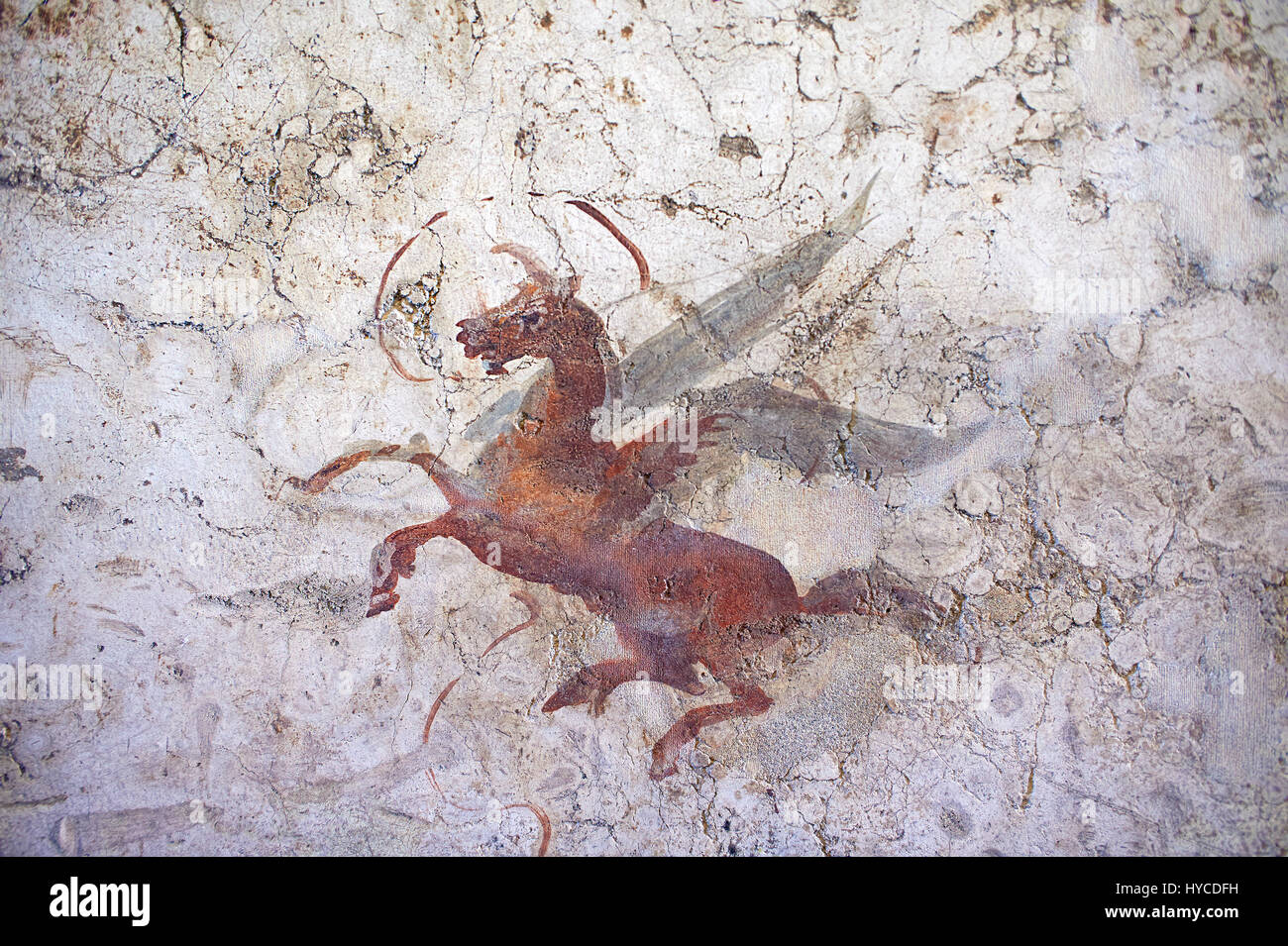 Affresco romano decorazioni murali da ville di Roma raffigurante Pegasus. Museo Nazionale Romano ( Museo Nazionale Romano), Roma, Italia. Foto Stock