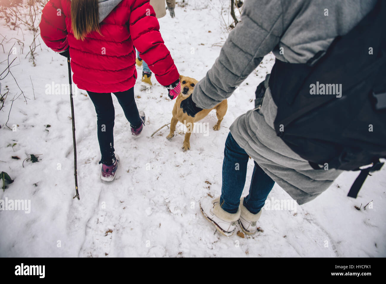 La madre e le figlie escursionismo in bianco inverno foresta con il cane Foto Stock