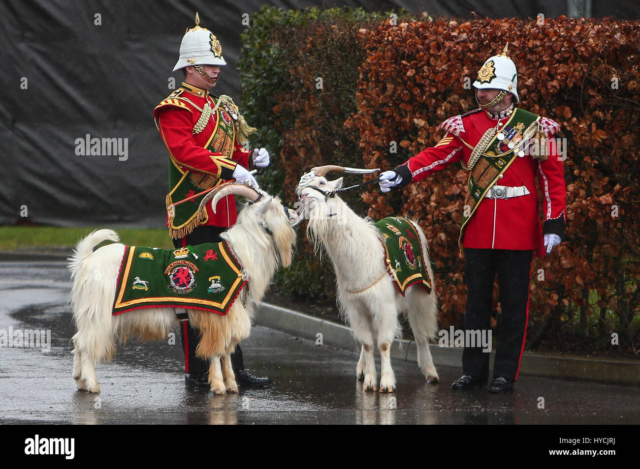 Sua Maestà la Regina Elisabetta presenta i porri al primo battaglione Royal Welsh a Mark St. David's giorno alla Caserma Jellalabad in Tidworth dotate: atmosfera dove: Regno Unito quando: 03 Mar 2017 Foto Stock