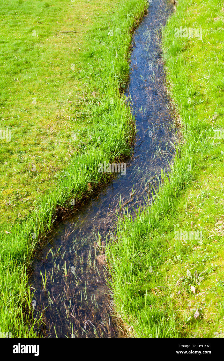 Un piccolo fiume in un verde prato Foto Stock