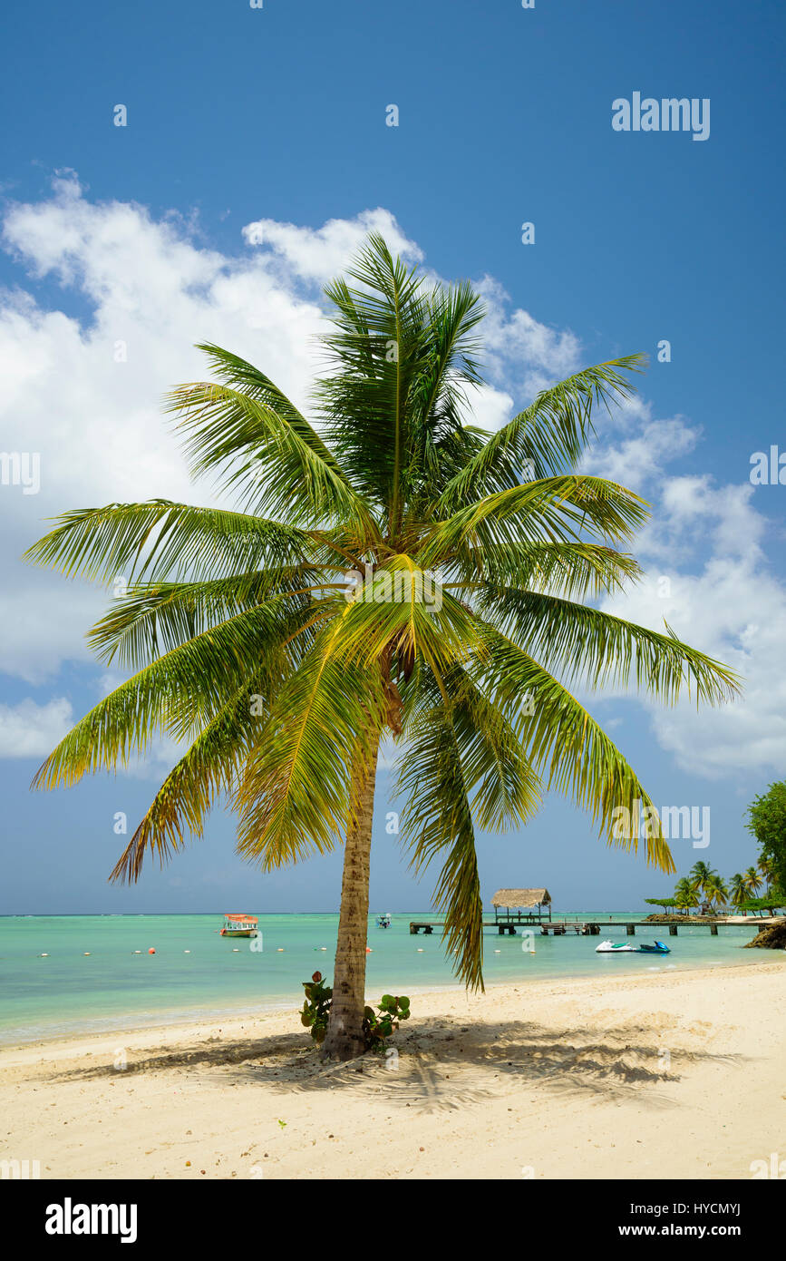 Pigeon Point Heritage Park sull'isola di Tobago Trinidad & Tobago Foto Stock