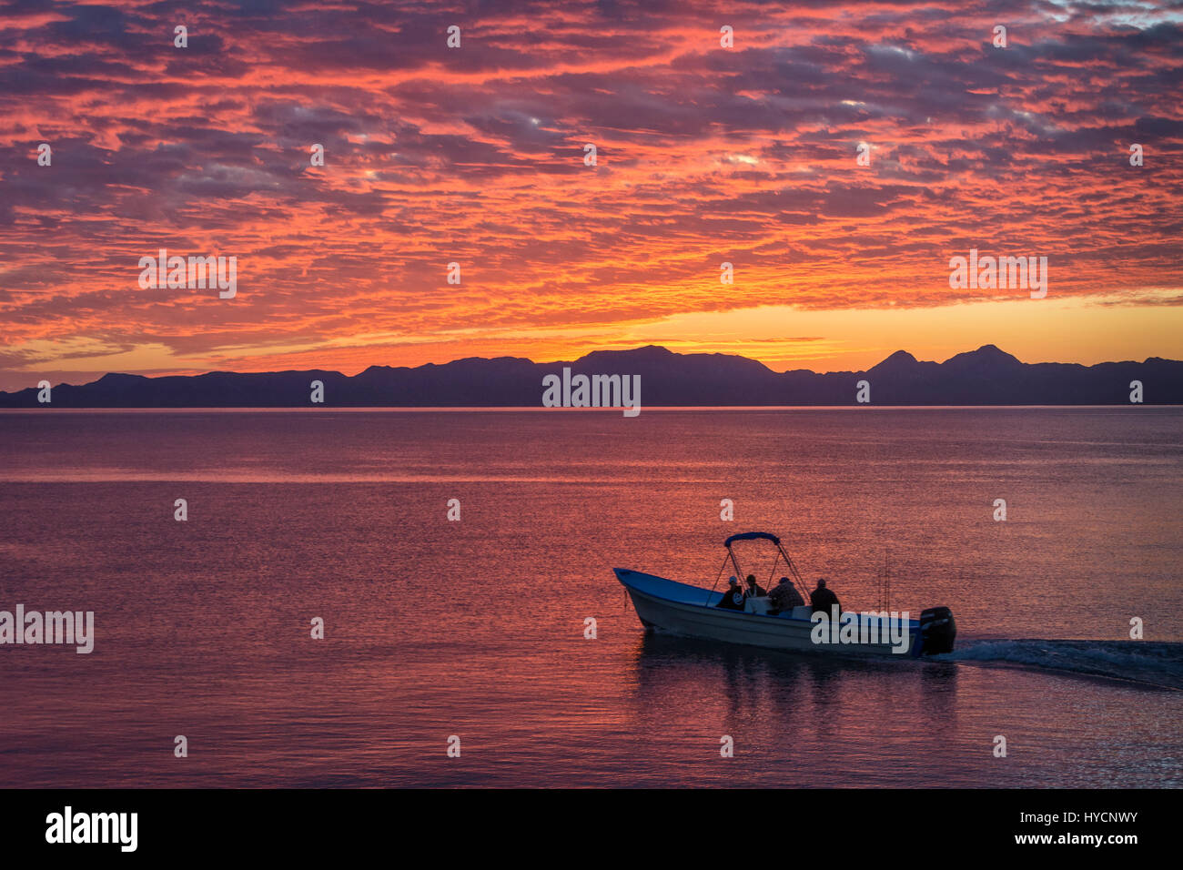 Panga voce fuori per fare whale watching nel mare di Cortez a sunrise, Loreto, Baja California Sur, Messico. Foto Stock