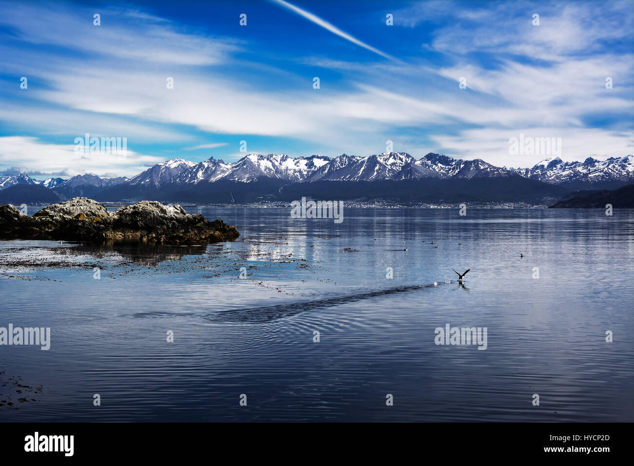 Canale di Beagle e Ushuaia in background. Bird iniziando a volare sull'acqua (Argentina) Foto Stock