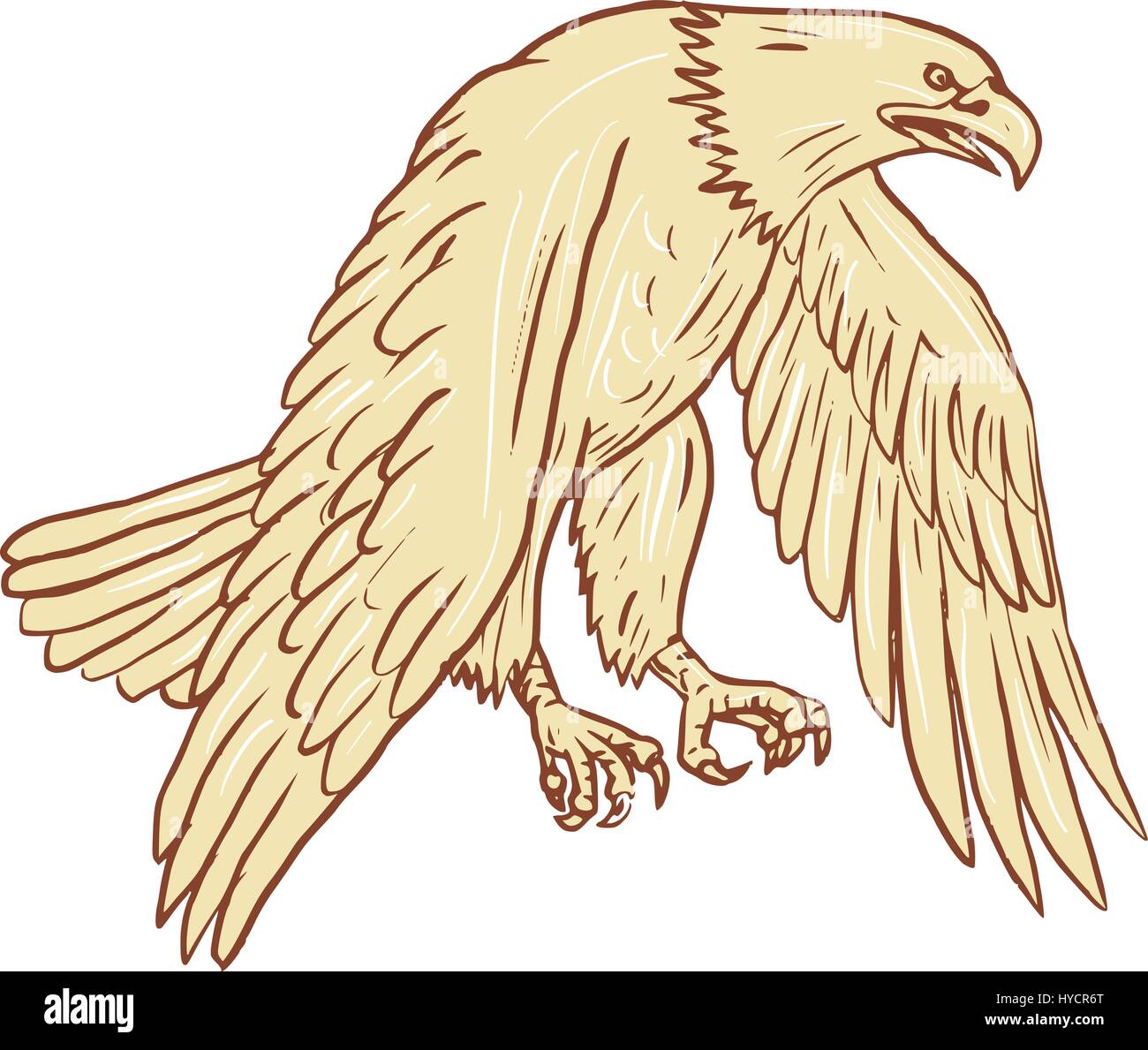 Schizzo di disegno illustrazione dello stile di aquila calva battenti con le alette verso il basso visto dal lato impostato su isolato sullo sfondo bianco. Illustrazione Vettoriale