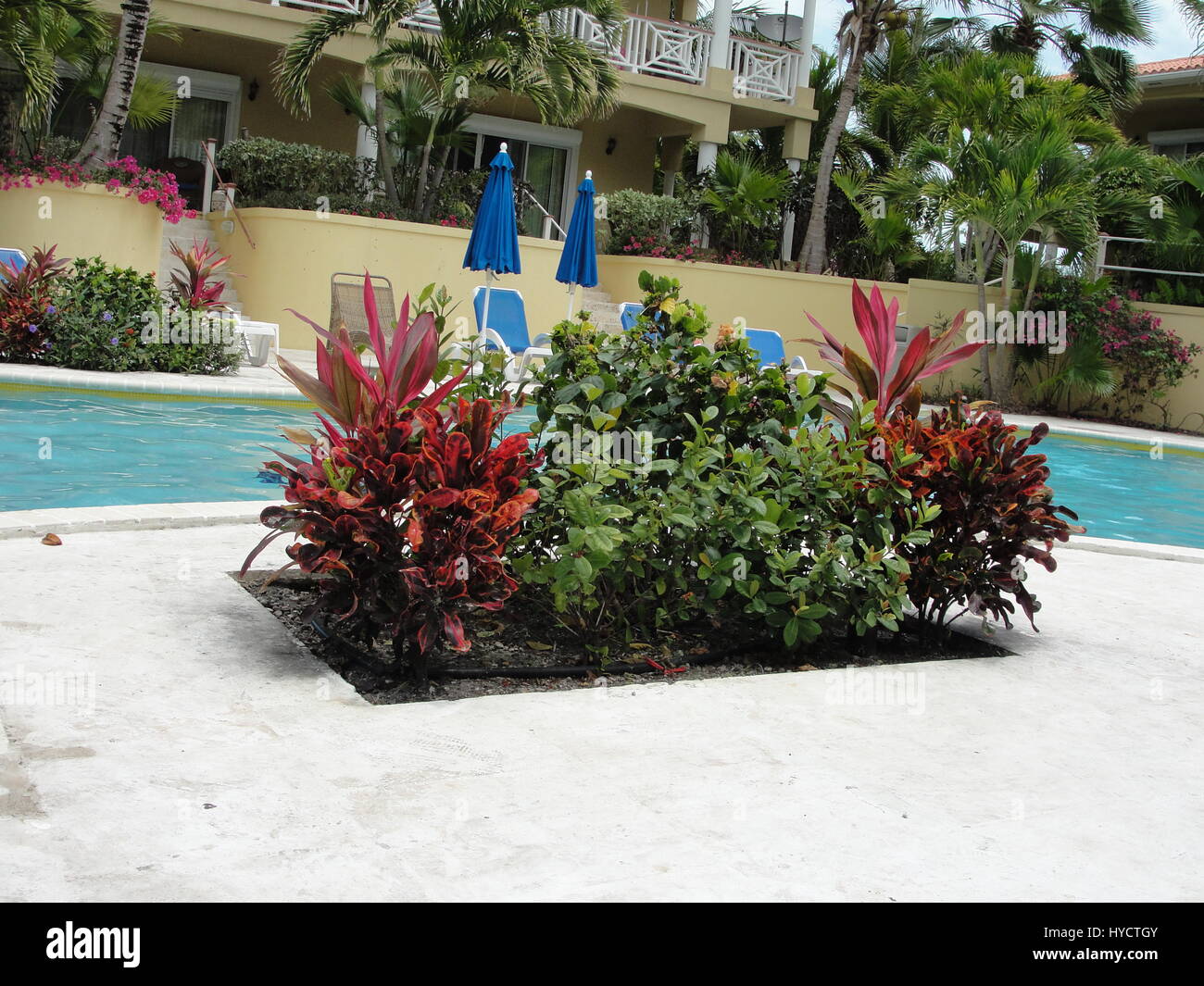 Giardino a lato piscina Foto Stock