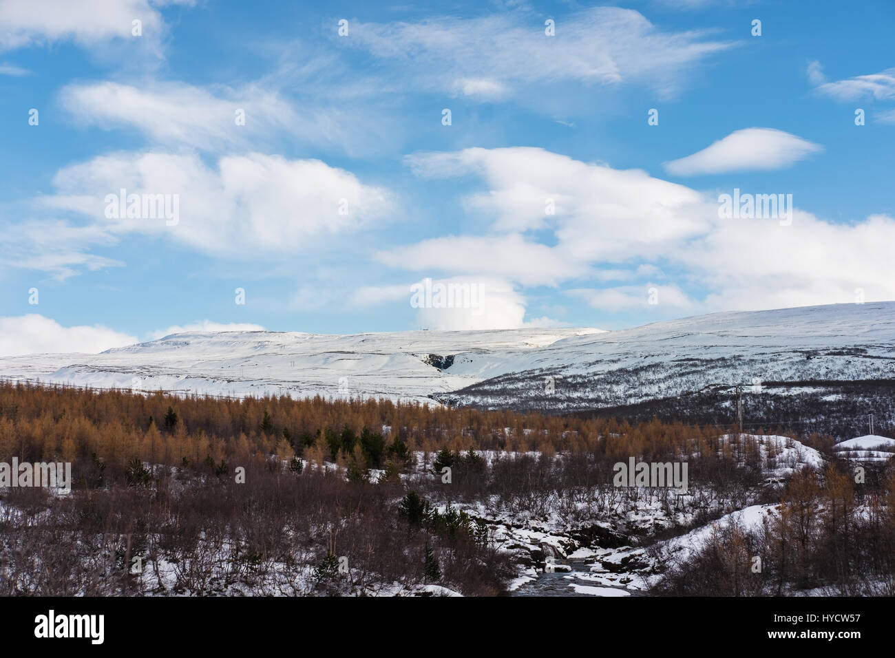 Giardini invernali, con la foresta e la montagna in inverno Foto Stock