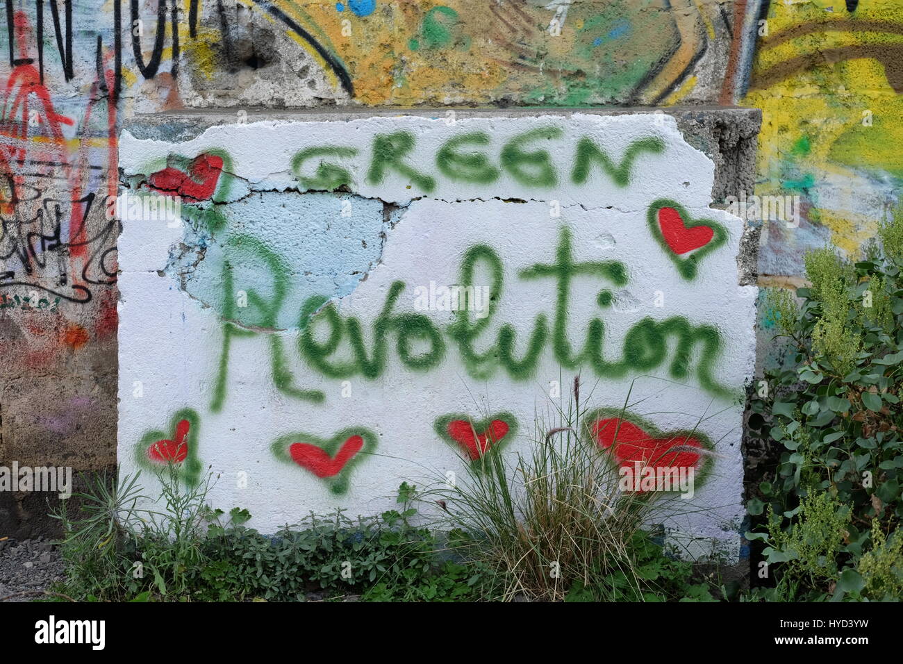 Rivoluzione verde o piante contro il muro di cemento Foto Stock