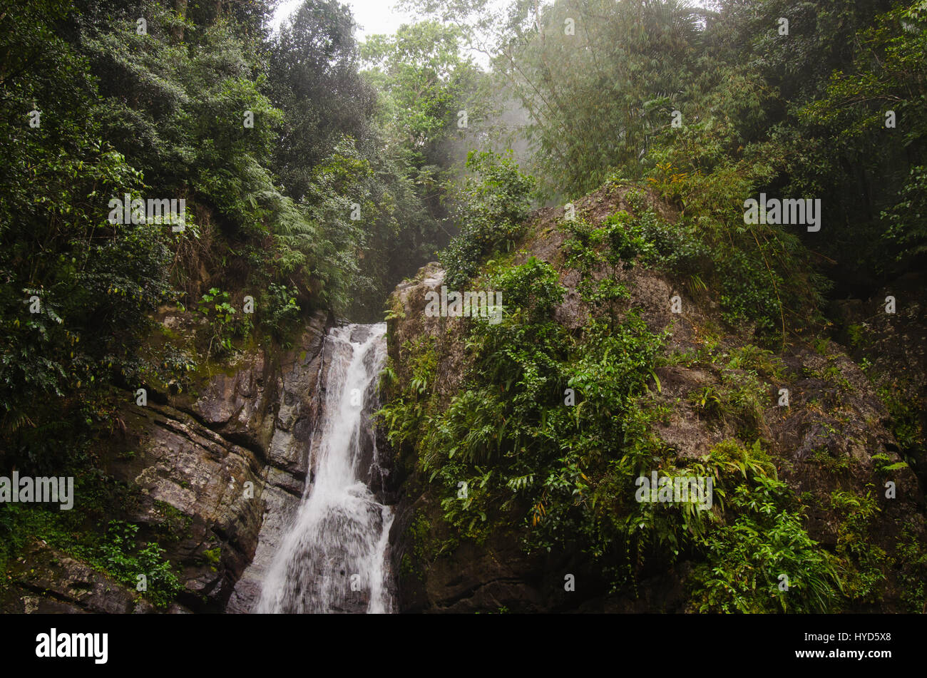 Puerto Rico, El Yunque National Forest, la Mina Falls nella foresta Foto Stock