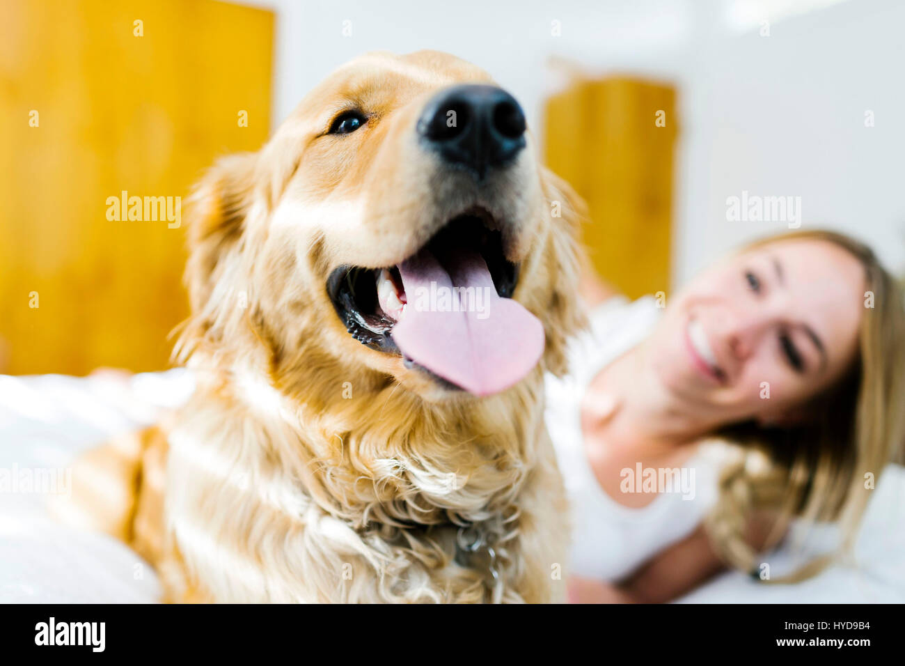 Ritratto di donna bionda con retriever d'oro Foto Stock