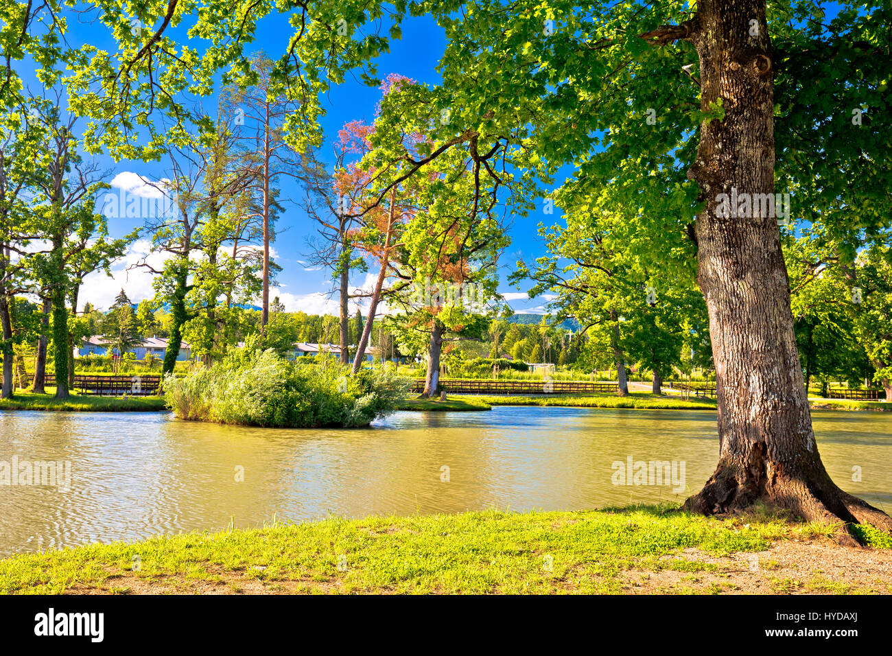 Il parco del lago nella città di Jastrebarsko, verde natura del nord della Croazia Foto Stock