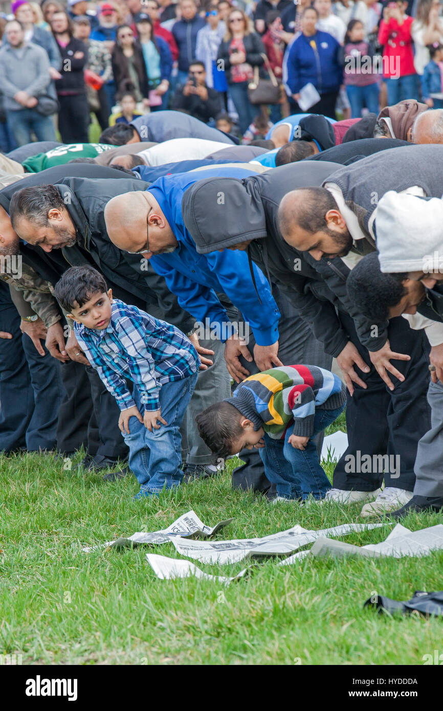 Dearborn, Michigan - uomini musulmani e un paio di ragazzi a pregare in un parco vicino alla American società musulmana la moschea. Preghiera del Venerdì è venuto alla fine di una unità Foto Stock