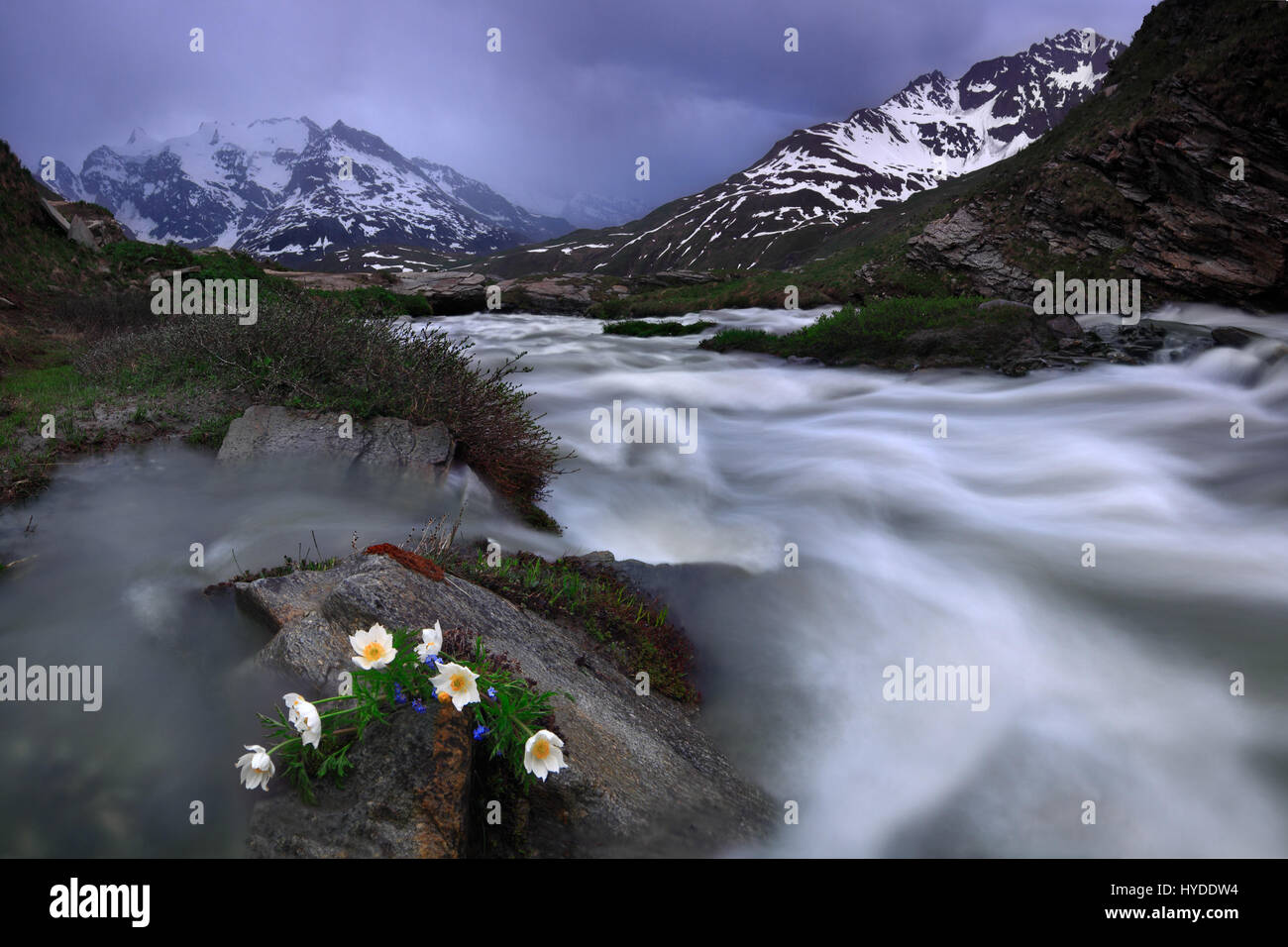 Il ruggente rapide del fiume Arc nella parte superiore della Val Cenis francesi nella Alpi Occidentali, Haute Maurienne. Un classico a metà primavera scena Foto Stock