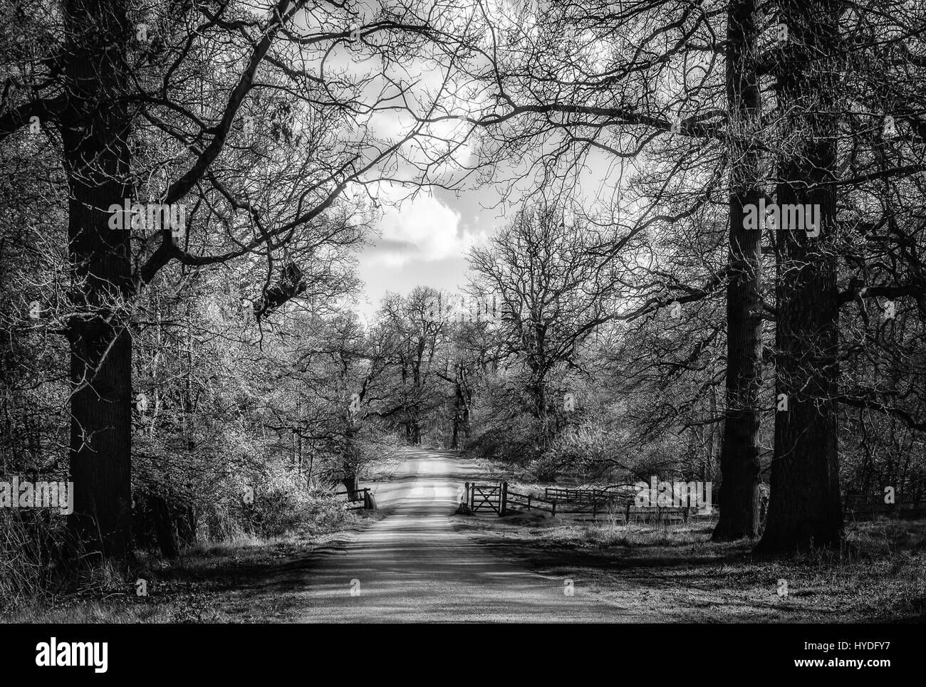 Calke Abbey motivi Foto Stock