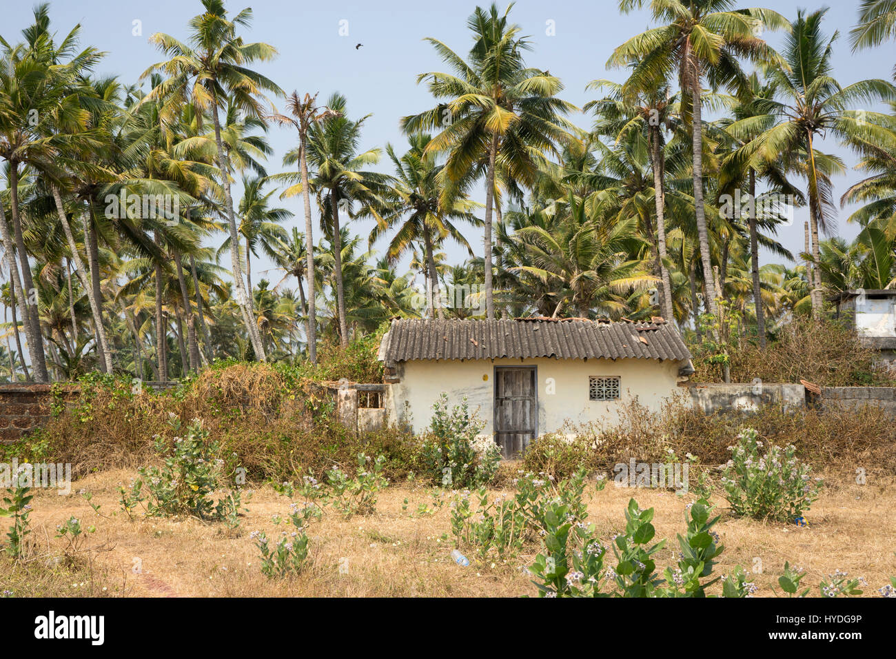 Il beach house, Kerala Foto Stock