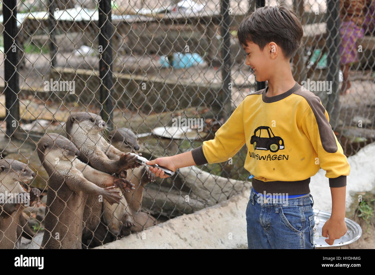 9 anno di età mista-gara boy alimenta Smooth-Coated lontre, Phnom Tamao Wildlife Rescue Center, provincia di Takeo, Cambogia. Credito: Kraig Lieb Foto Stock