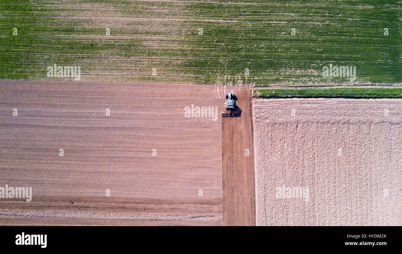 Il trattore arare i campi, veduta aerea di un campo arato e un trattore che la semina. Agricoltura e allevamento, campagna. Foto Stock