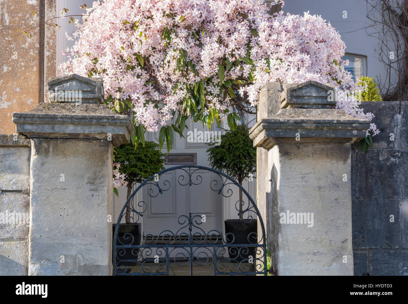 Primavera sbocciano i fiori nella bella città di Bath, Inghilterra, Regno Unito Foto Stock