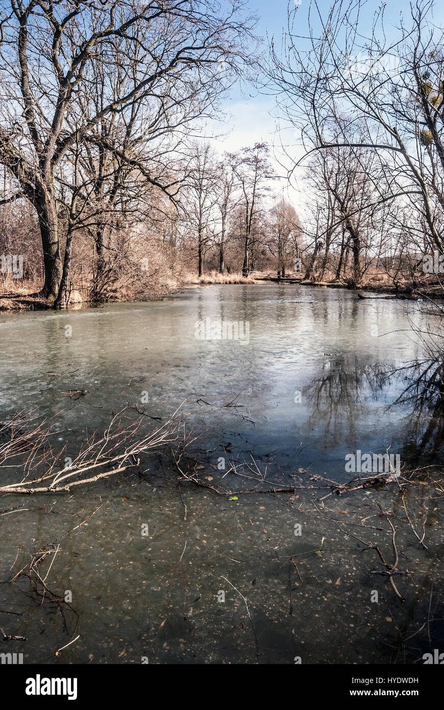 Parzialmente congelato slanaky lago fiume con alberi e cielo blu a inizio primavera chko poodri vicino studenka città in Repubblica ceca Foto Stock