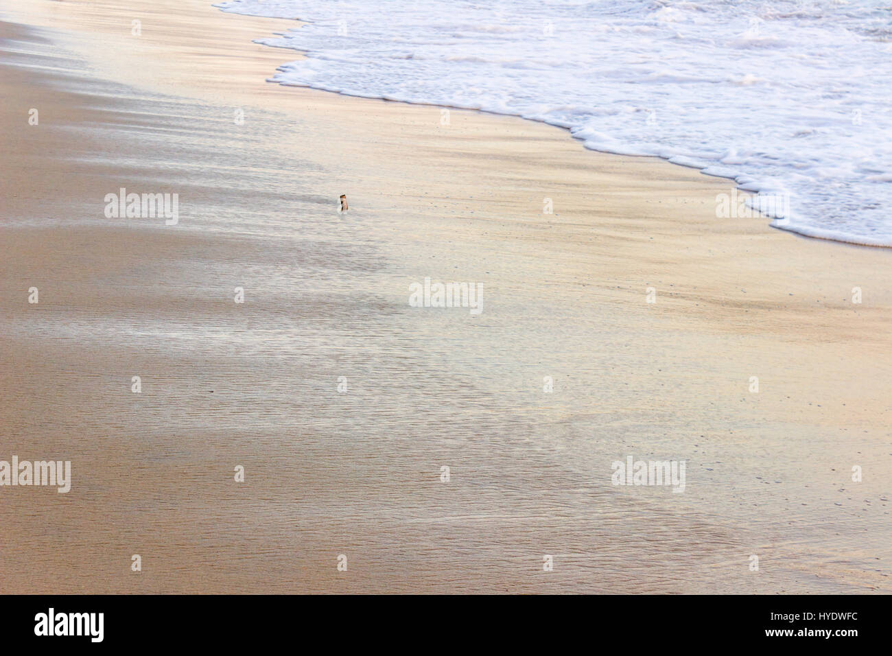 Dettaglio delle onde del mare e la sabbia illuminato dalla luce del tramonto Foto Stock