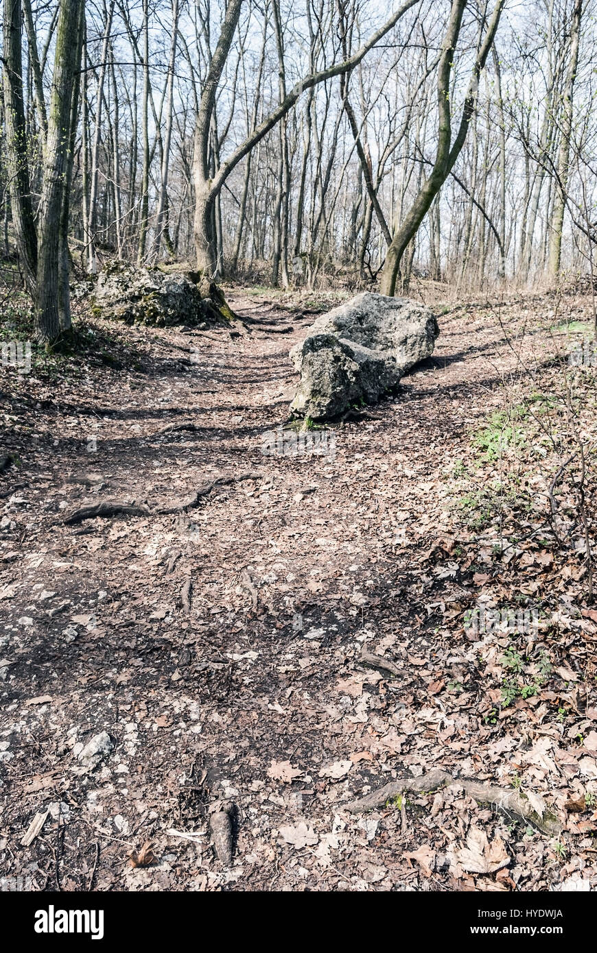 Inizio della primavera foresta con pietre, sentiero escursionistico e chiaro cielo sopra pavlov village di palava montagne in Moravia del sud Foto Stock Inizio della primavera foresta con pietre, sentiero escursionistico e chiaro cielo sopra pavlov village di palava montagne in Moravia del sud Foto Stock