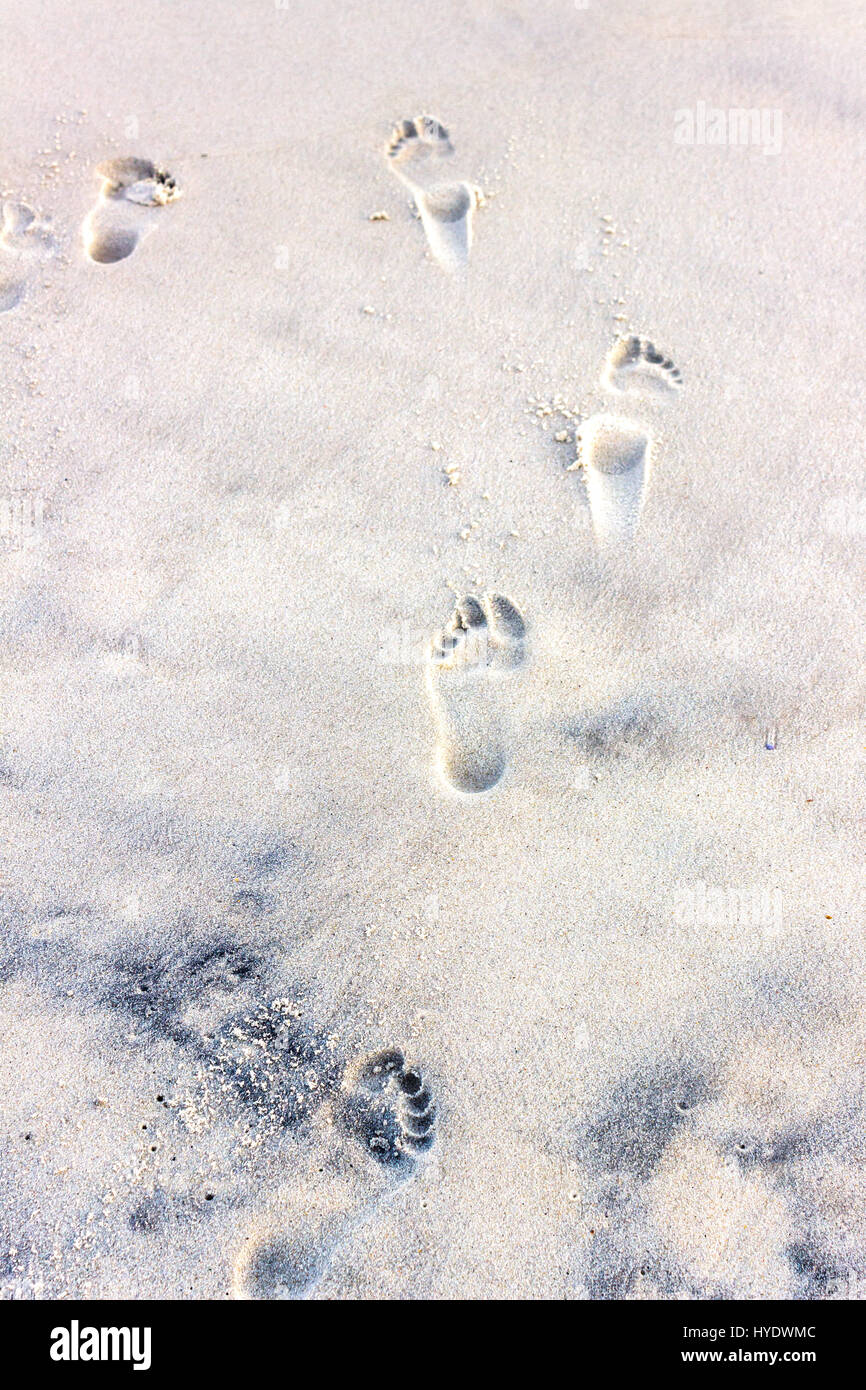 Impronta lasciata sulla spiaggia di sabbia Foto Stock