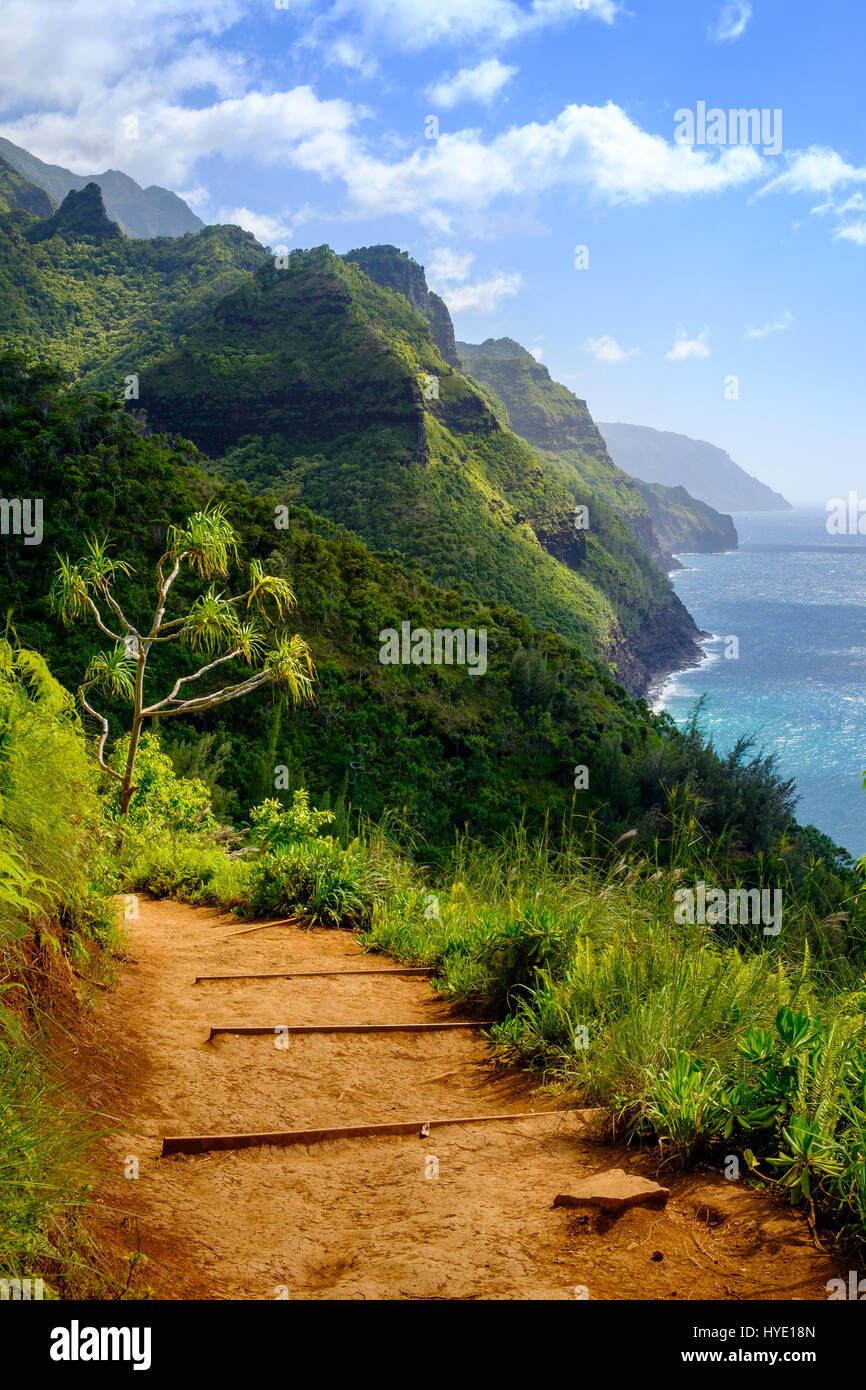 Vista del paesaggio di Na Pali costa e Kalalau Trail, Kauai, Hawaii, STATI UNITI D'AMERICA Foto Stock