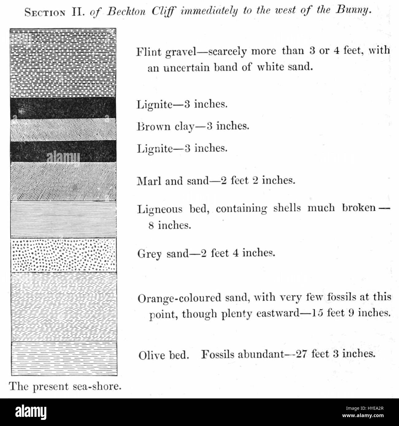 "The New Forest: La sua storia e il suo paesaggio" è un'esplorazione dettagliata di una delle foreste più antiche d'Inghilterra, che mostra la sua bellezza naturale e il suo significato storico nel paesaggio del paese. Foto Stock