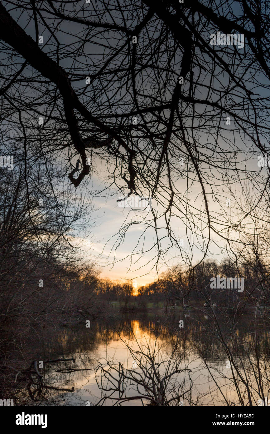 Le foto scattate al tramonto a Crocheron Park di Bayside, NY. Foto Stock