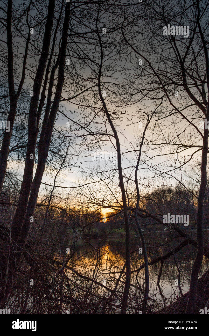 Le foto scattate al tramonto a Crocheron Park di Bayside, NY. Foto Stock