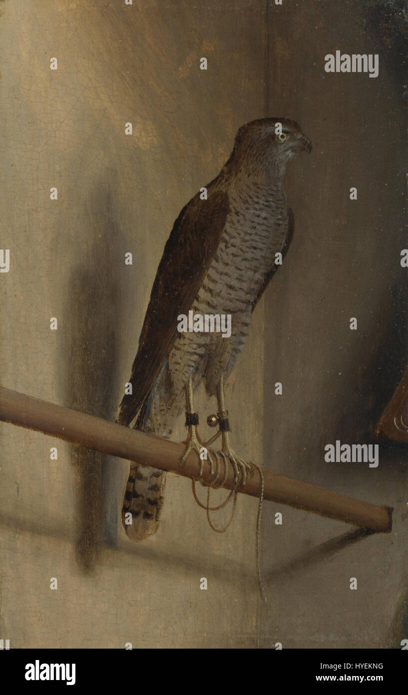 "Un Sparviero" di Jacopo de' Barbari (lo Sparrowhawk) è una rappresentazione precisa e dettagliata di un uccello, che dimostra la competenza dell'artista nel rendere forme naturali e la sua dedizione alla precisione anatomica. Foto Stock